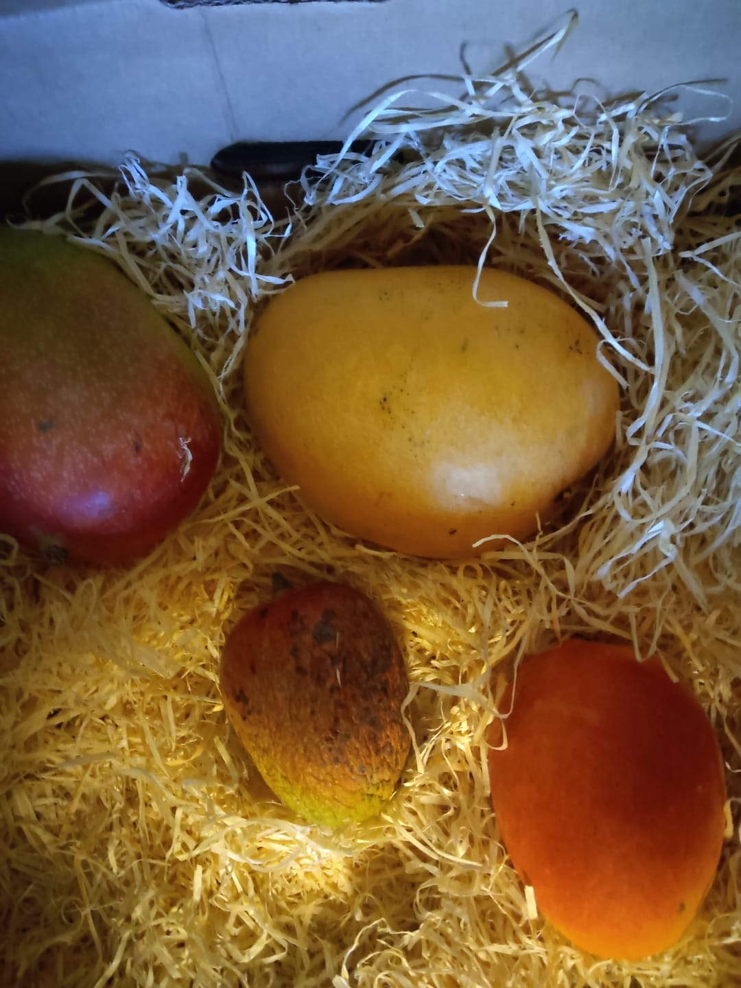 Customer photo review of Ugly Mangobox