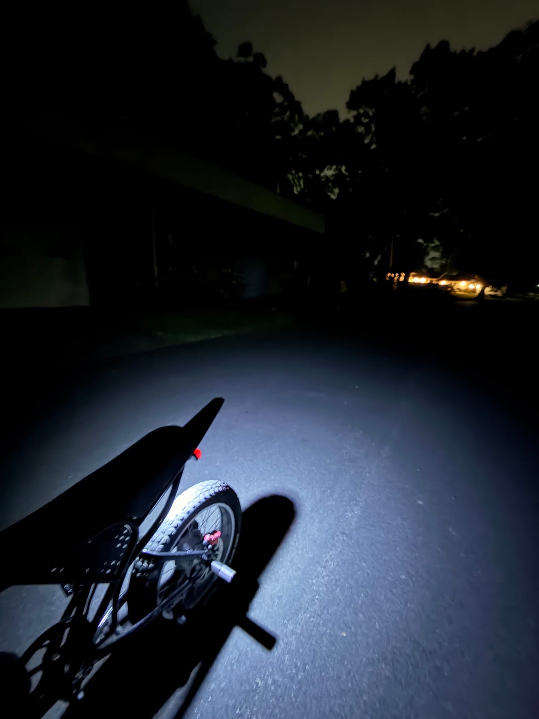Customer photo review of Battery Powered Rock Light V2 pre order