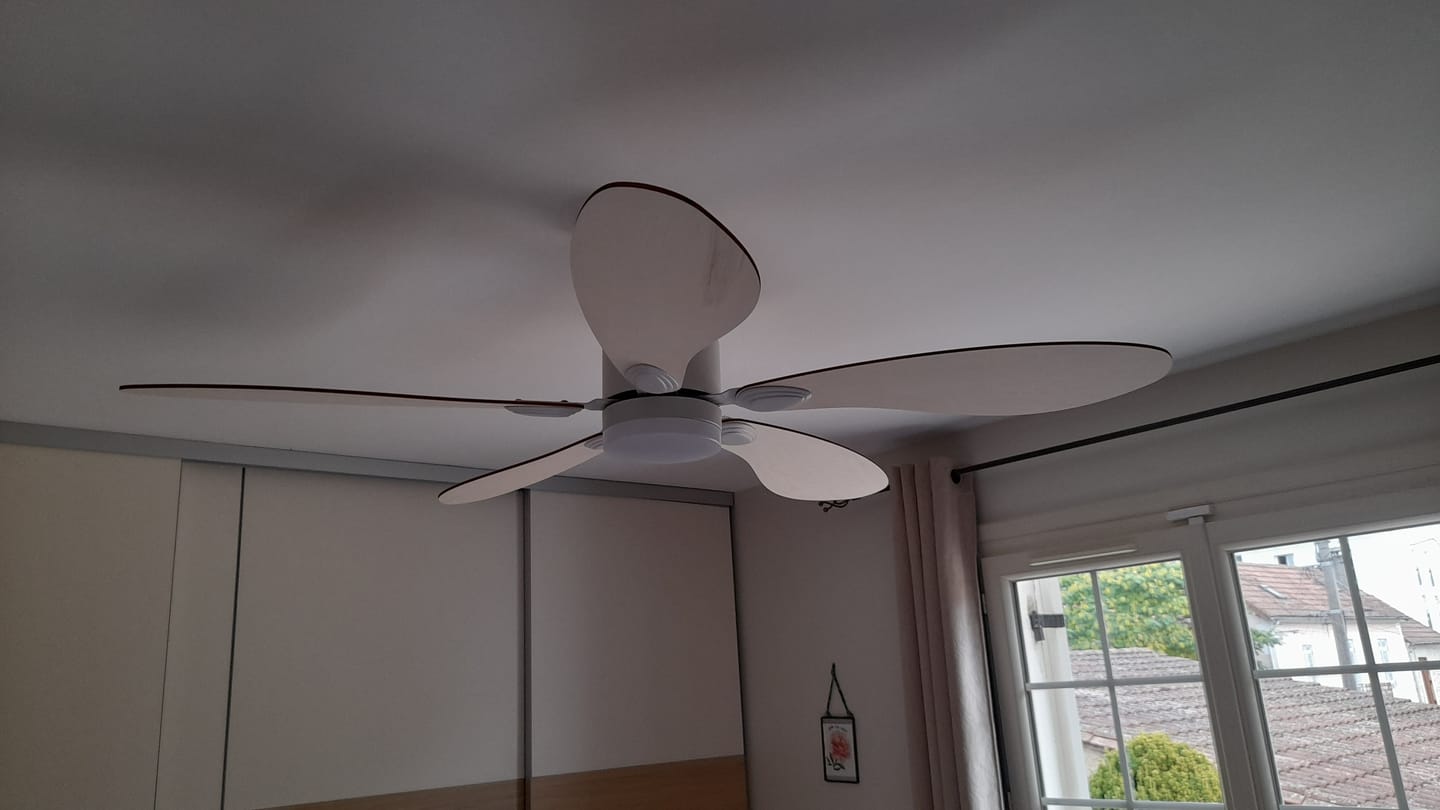 Customer photo review of Libellule | Ventilateur de plafond – Ø 137 cm