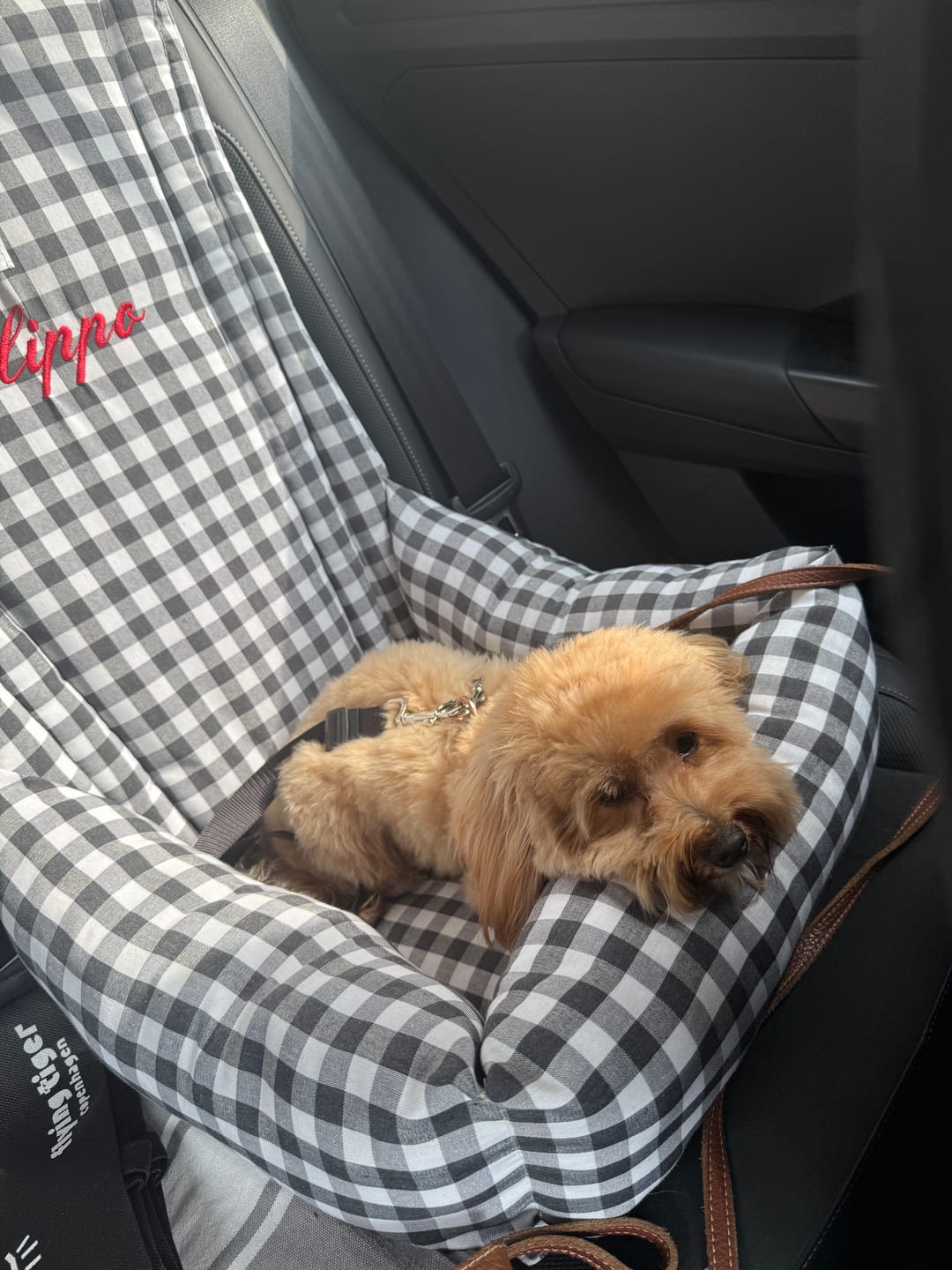 Customer photo review of Seggiolino Auto Cotone Quadretto Grigio