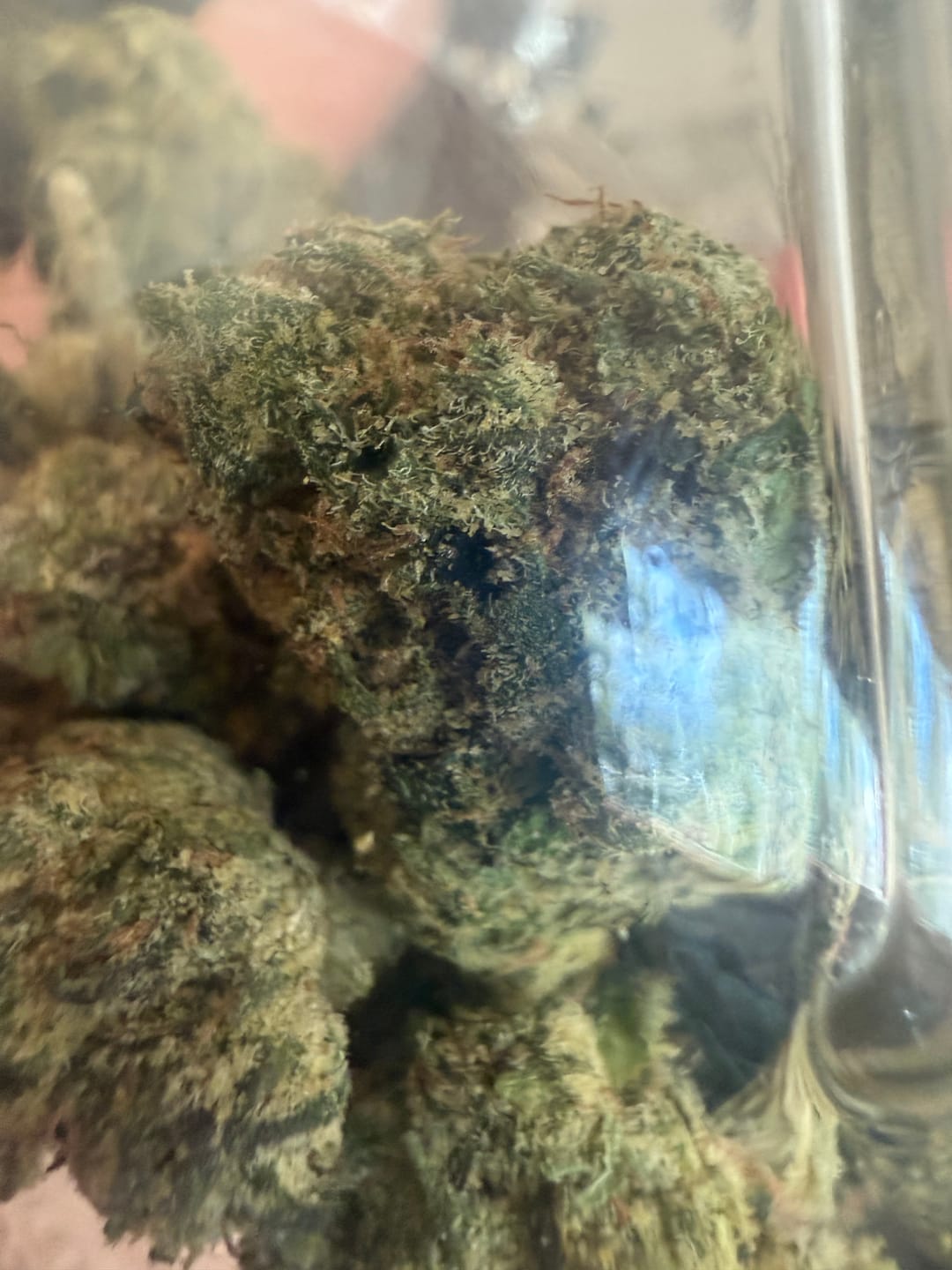 Customer photo review of Purple Push Pop -THCa Flower