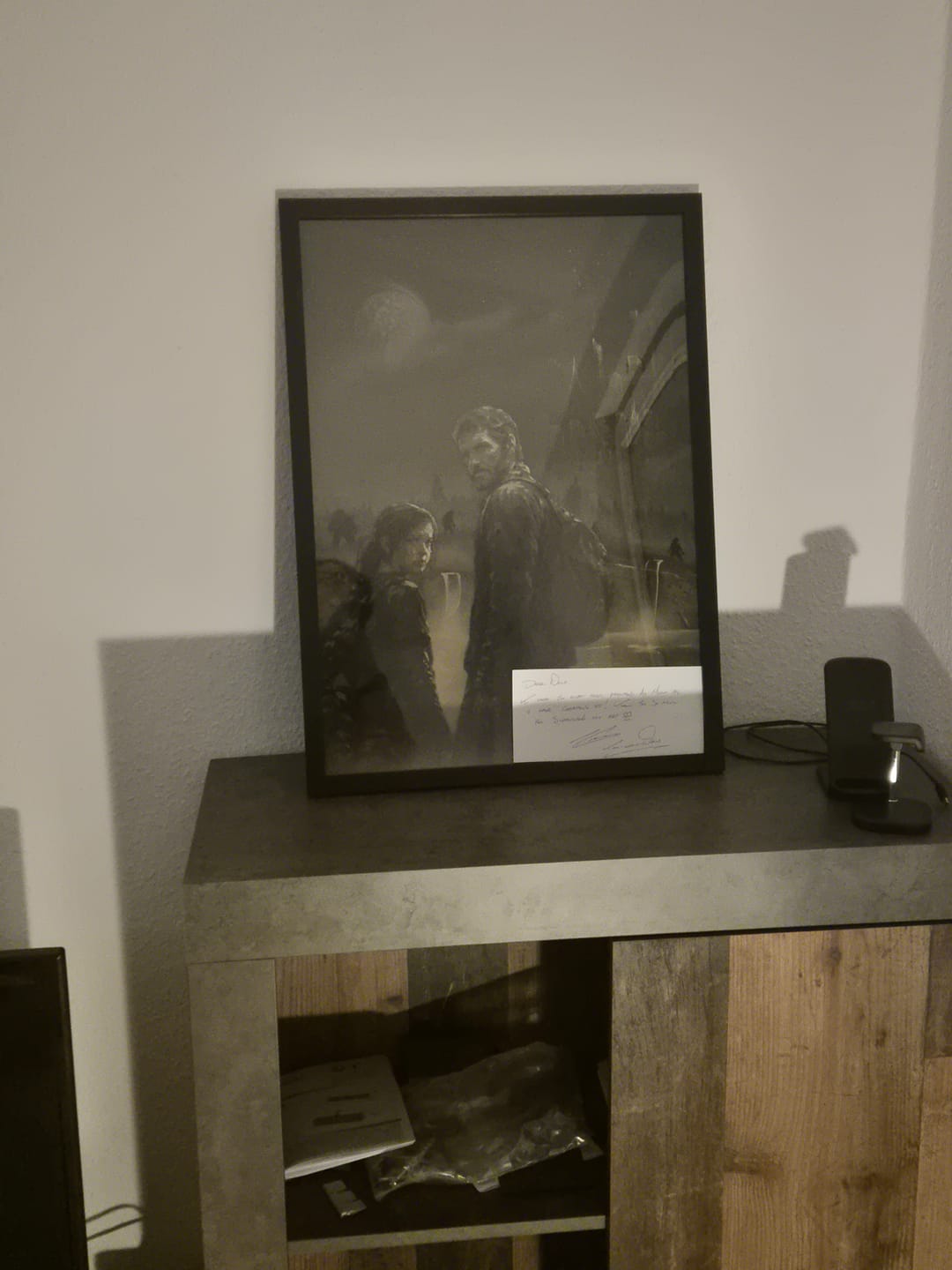 Customer photo review of Bespoke Painting For Nico - TLOU Reimagined - A2