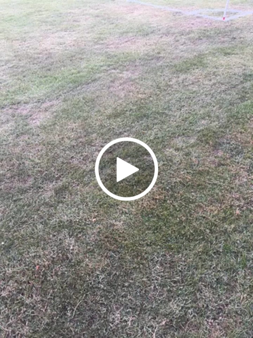 Customer video review of Mercurial Vapor 16 x Sam Kerr FG