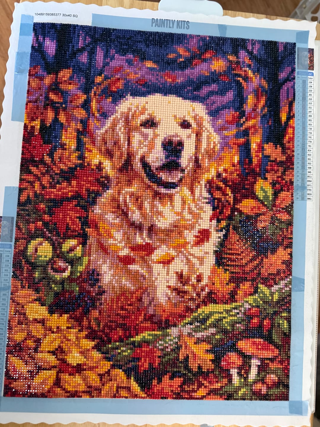 Customer photo review of Golden Retriever in the Leaf Storm (Diamond Painting)