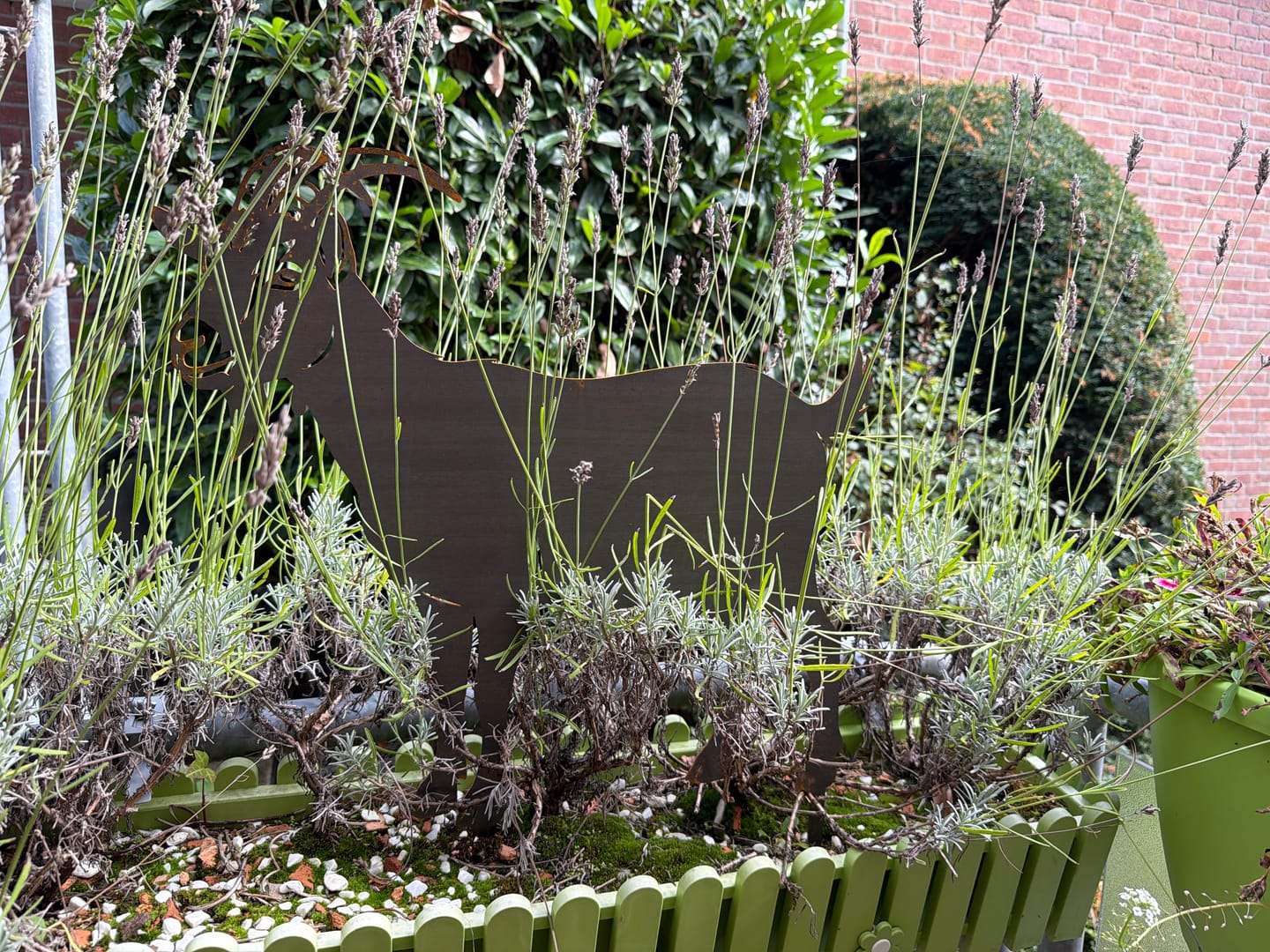 Customer photo review of Gartenstecker Ziege
