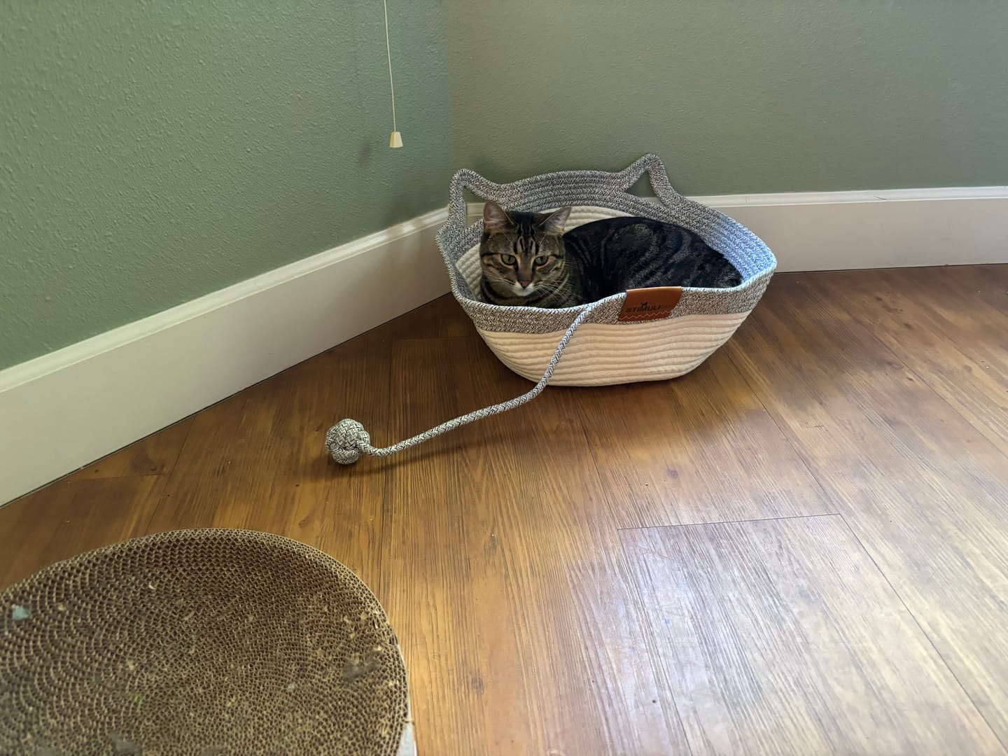 Customer photo review of Instinct Basket | Meet the first research-backed natural territory for indoor cats