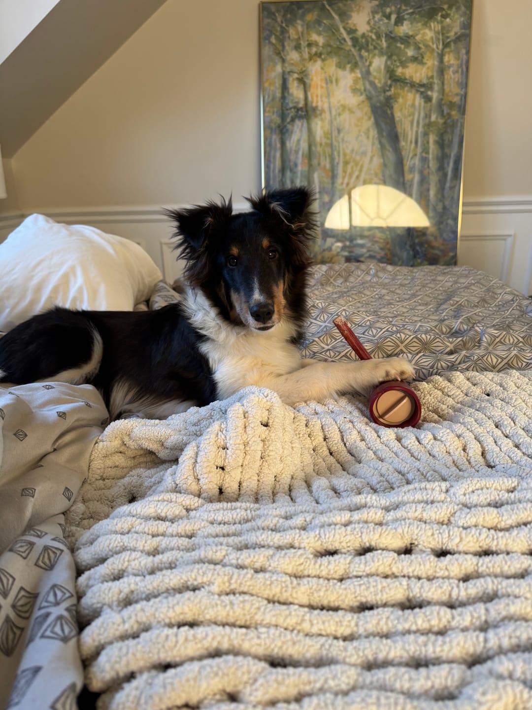 Customer photo review of Bully Stick Safety Holder