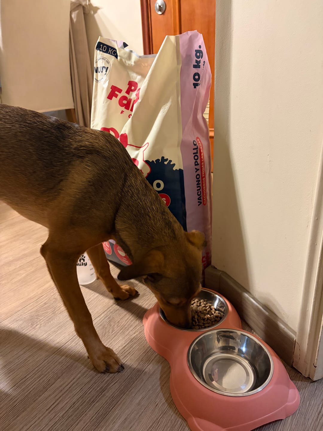 Customer photo review of PetFamily Foods Cachorros