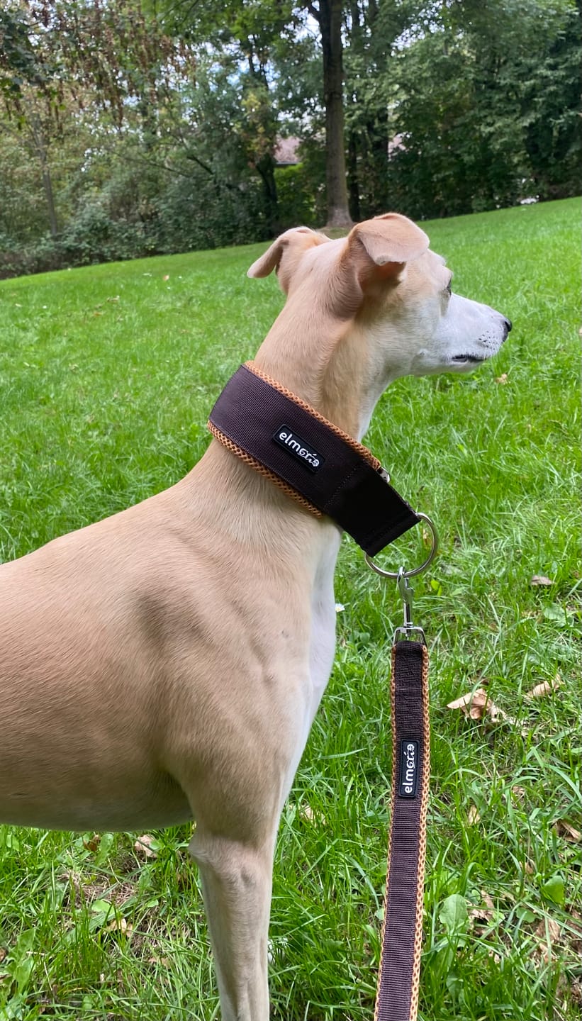 Customer photo review of Führungsleine 2,30m (3-fach verstellbar)