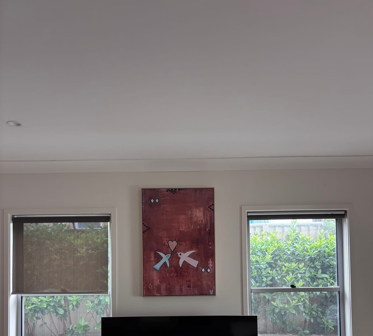 Customer photo review of Forever Love Birds by Jackie Green | Framed Canvas Wall Art