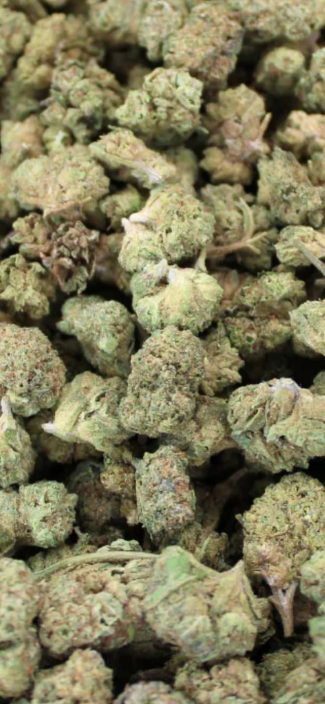 Customer photo review of Bulk Indoor THCA Smalls