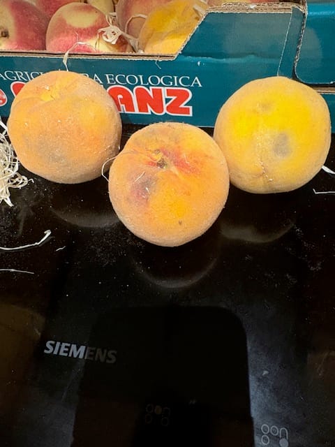 Customer photo review of Orangen Valencia Bio neue Ernte