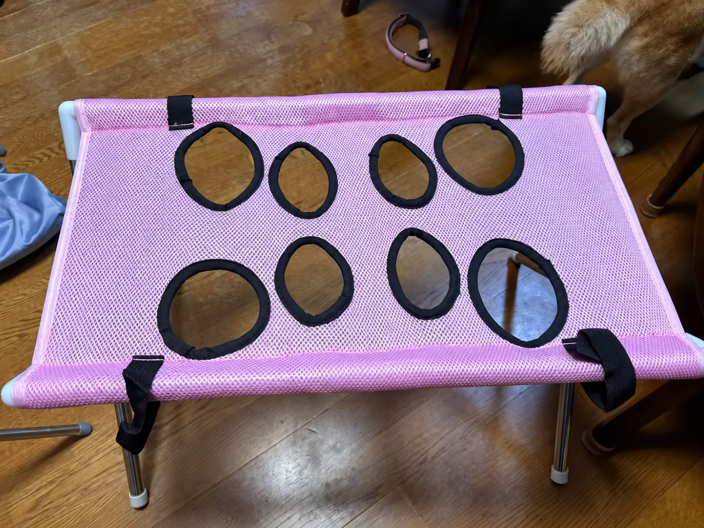 Customer photo review of Stress-Free Pet Bath & Grooming Stand