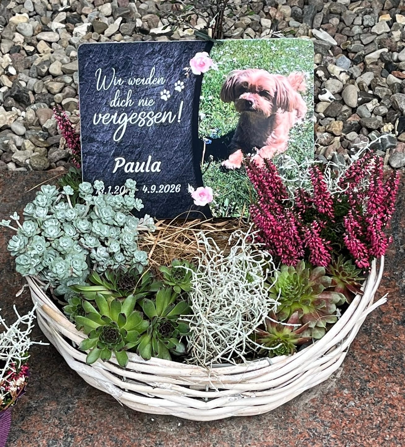 Customer photo review of Hunde Gedenktafel mit Foto & Spruch (UV- &  Wetterfest)