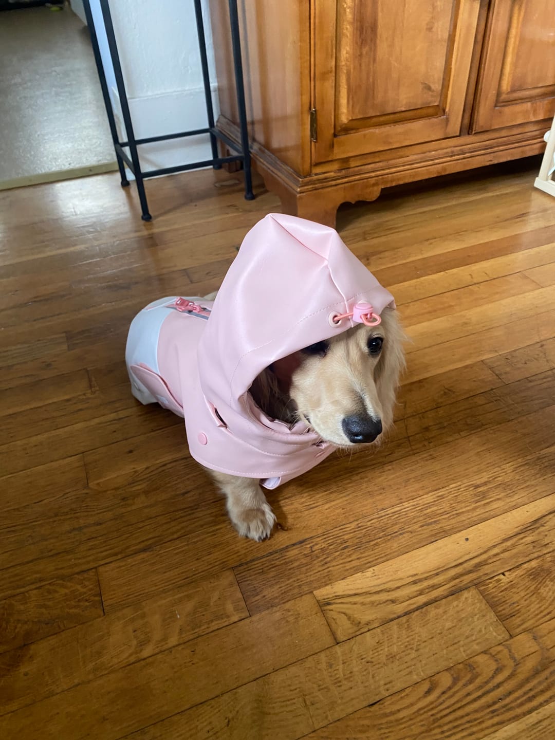 Customer photo review of Stormhunter Raincoat