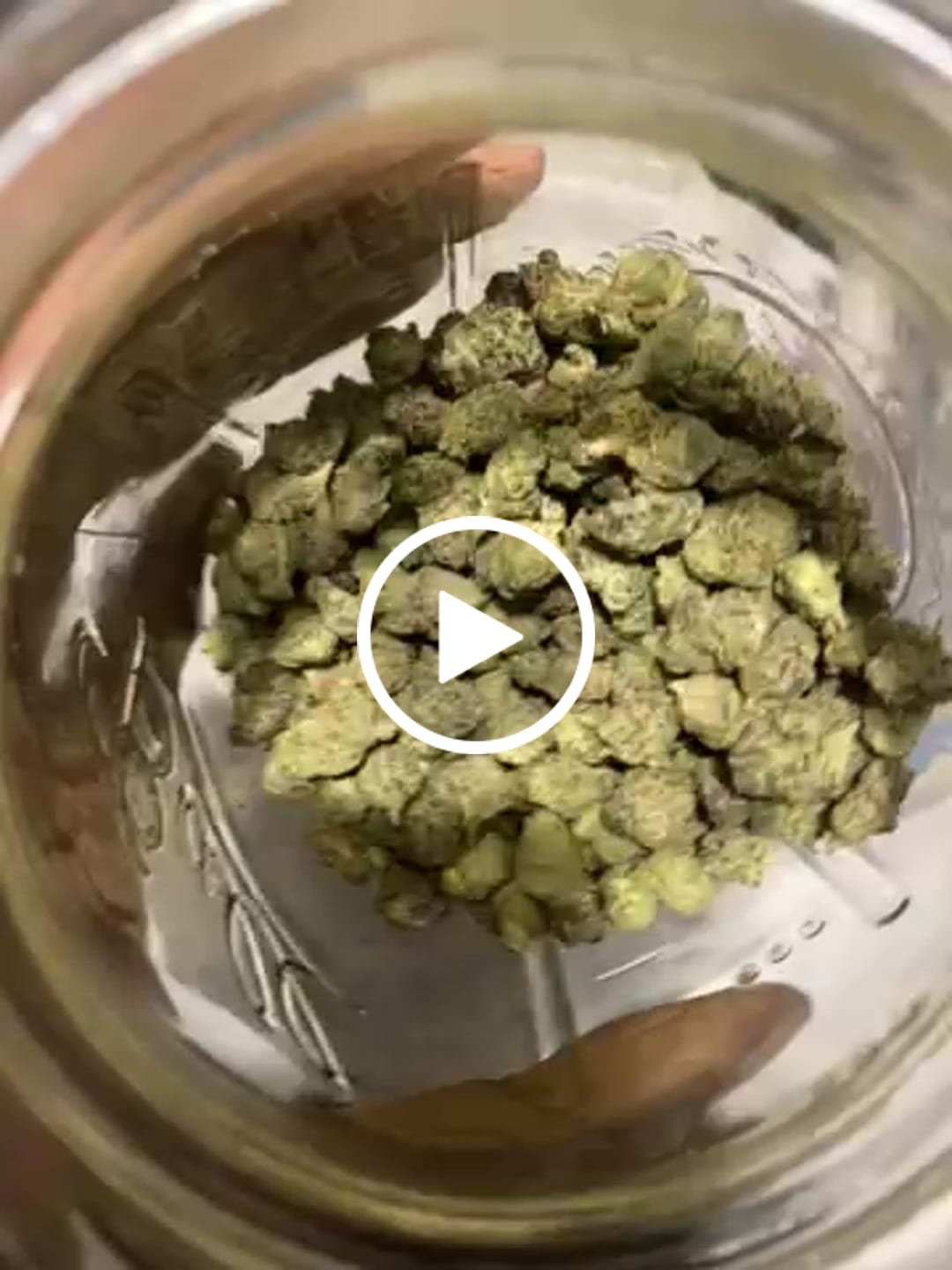 Customer video review of Black Piranha (Indoor Smalls) - THCA Flower
