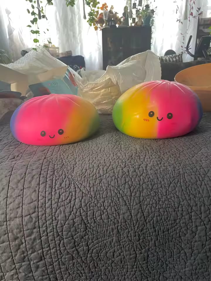 Customer photo review of Large Dumpling Squishy