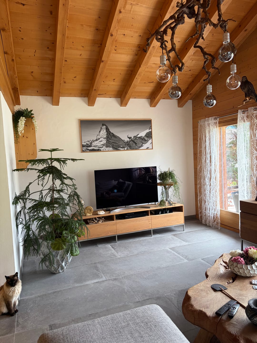 Customer photo review of Ibex Before the Matterhorn
