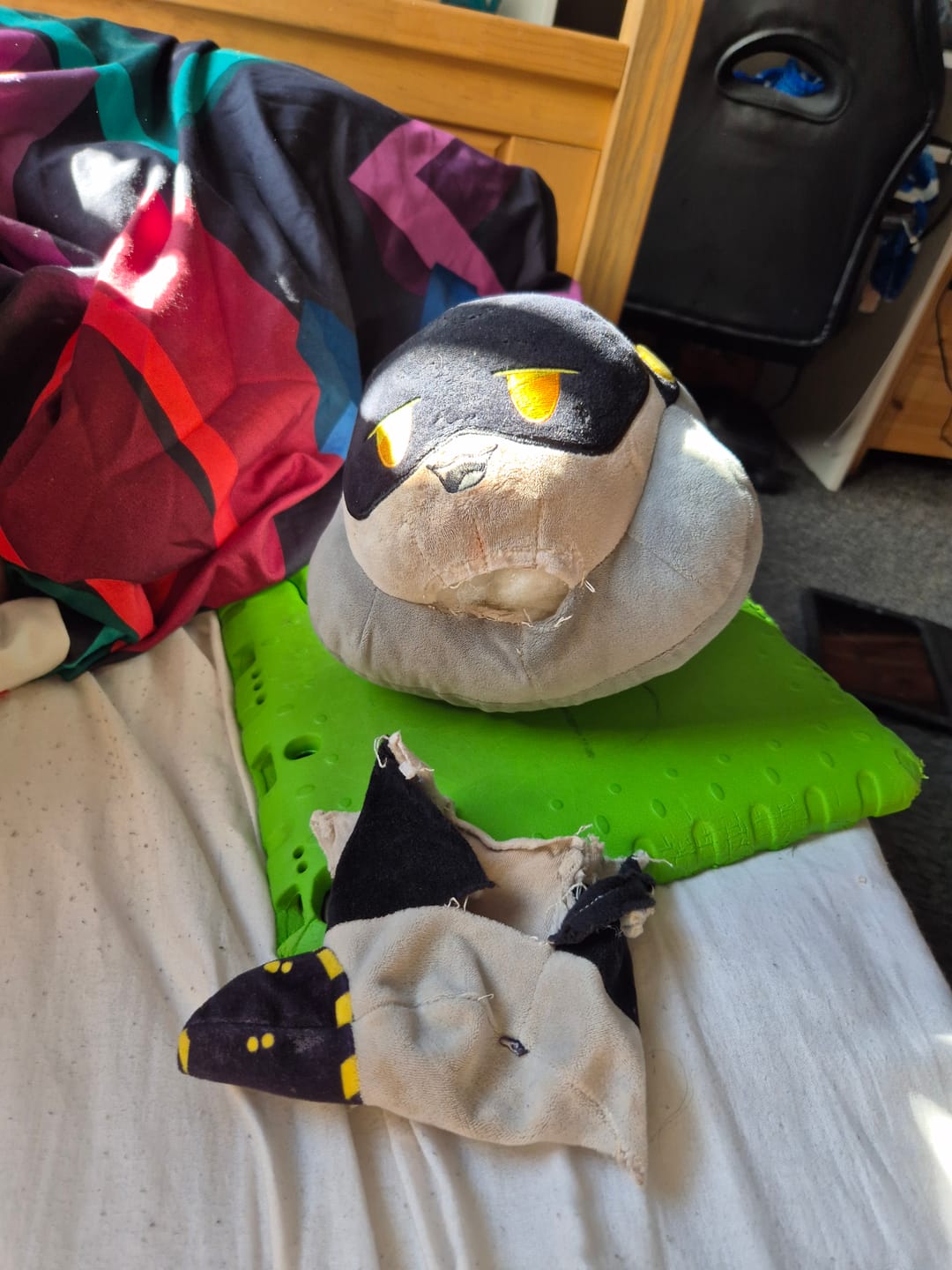 Customer photo review of V Plush