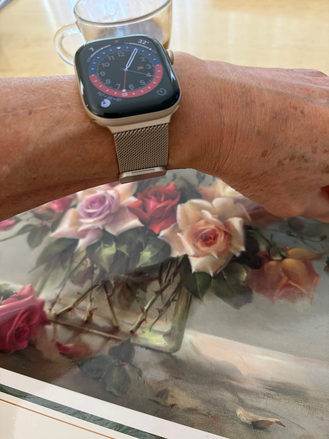 Customer photo review of Milanese Loop