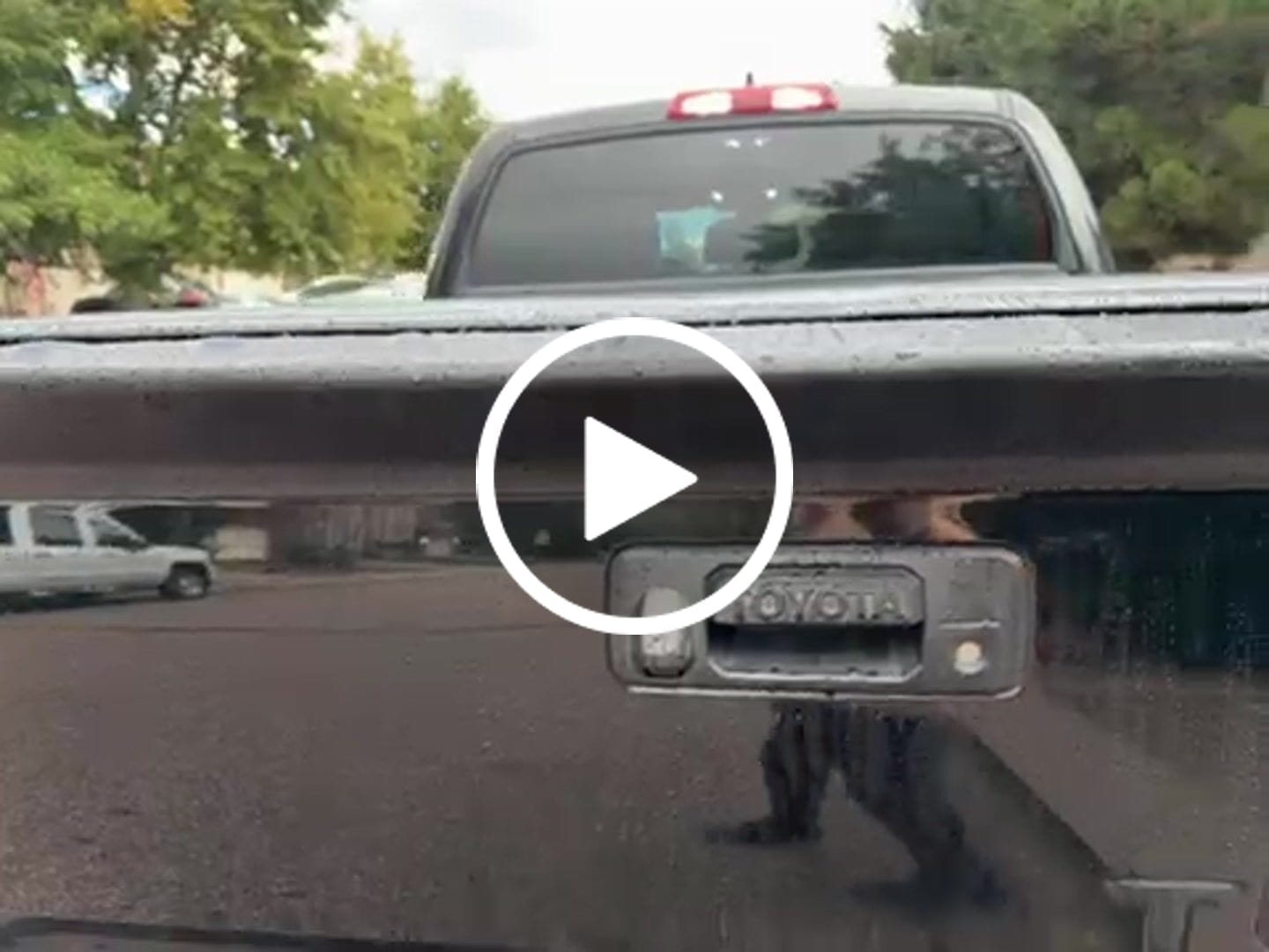 Customer video review of 2014-21 Toyota Tundra Rear Trunk Tailgate Spoiler