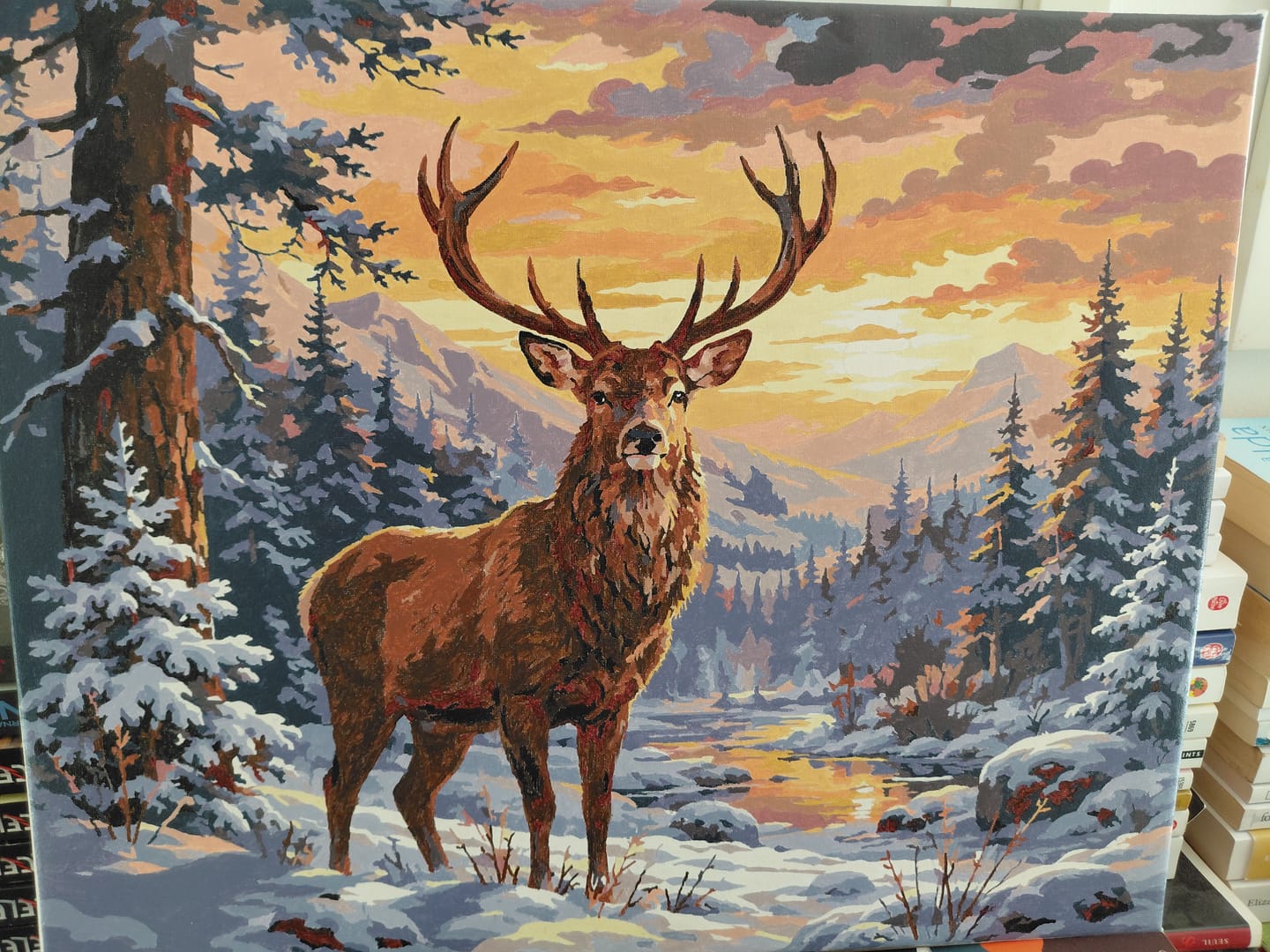 Customer photo review of Cerf majestueux en Hiver