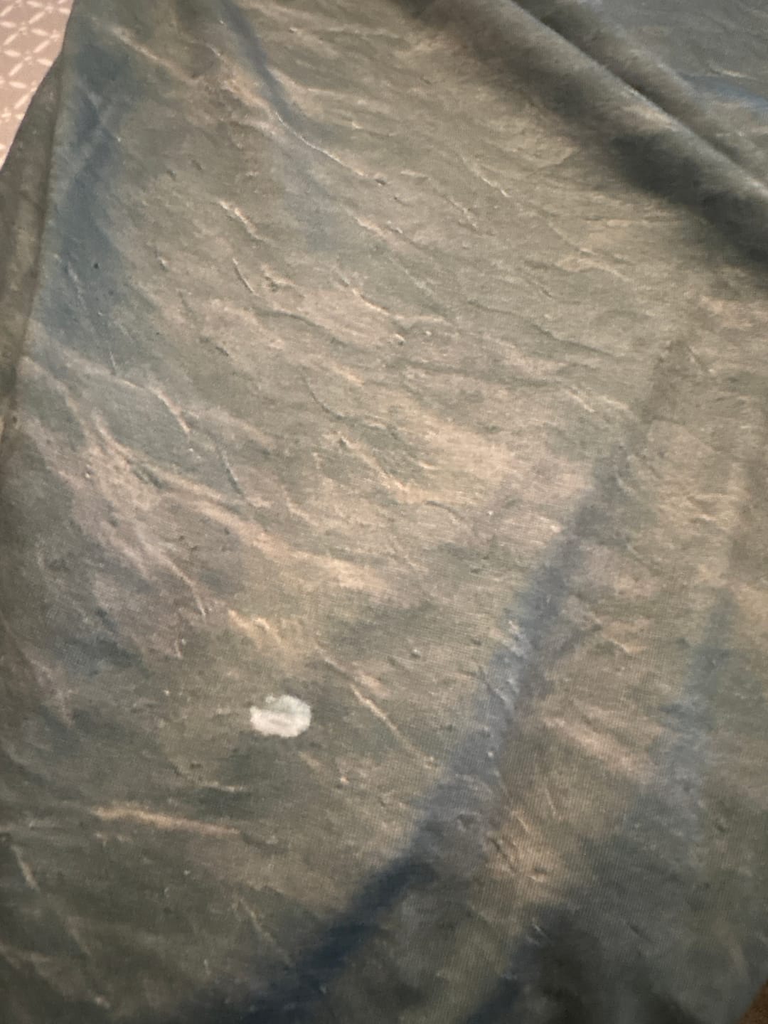Customer photo review of Performance Fishing Long Sleeve - Sunlit Grass Perch - TBT252