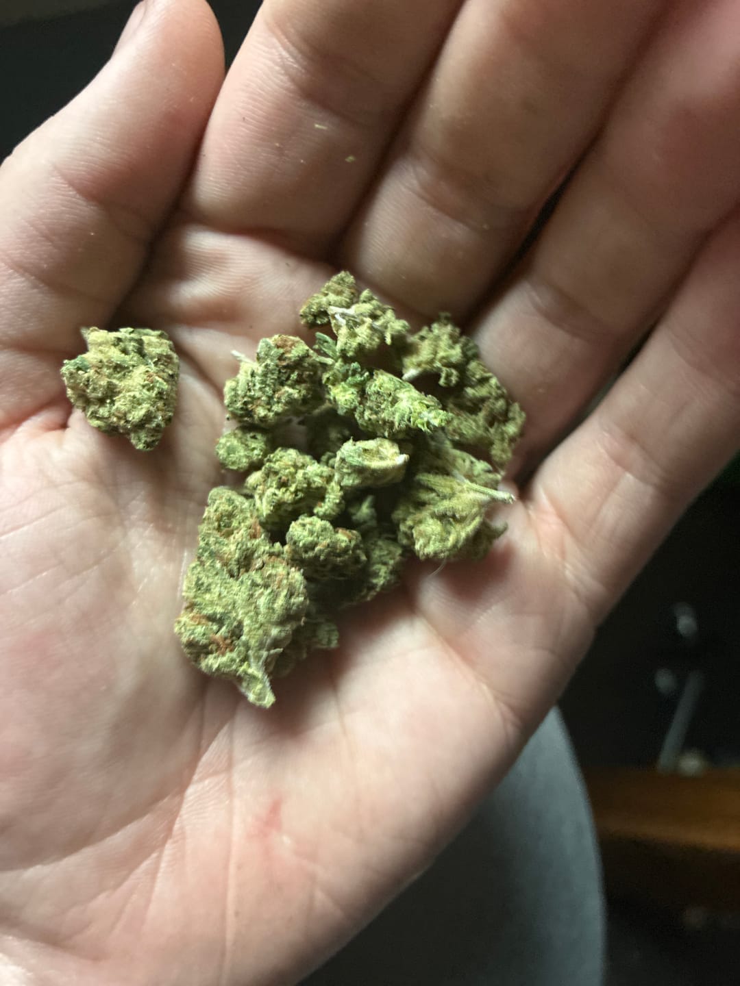 Customer photo review of Cinex THCA Flower