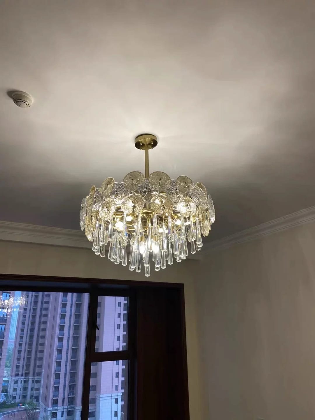 Customer photo review of DESSA
