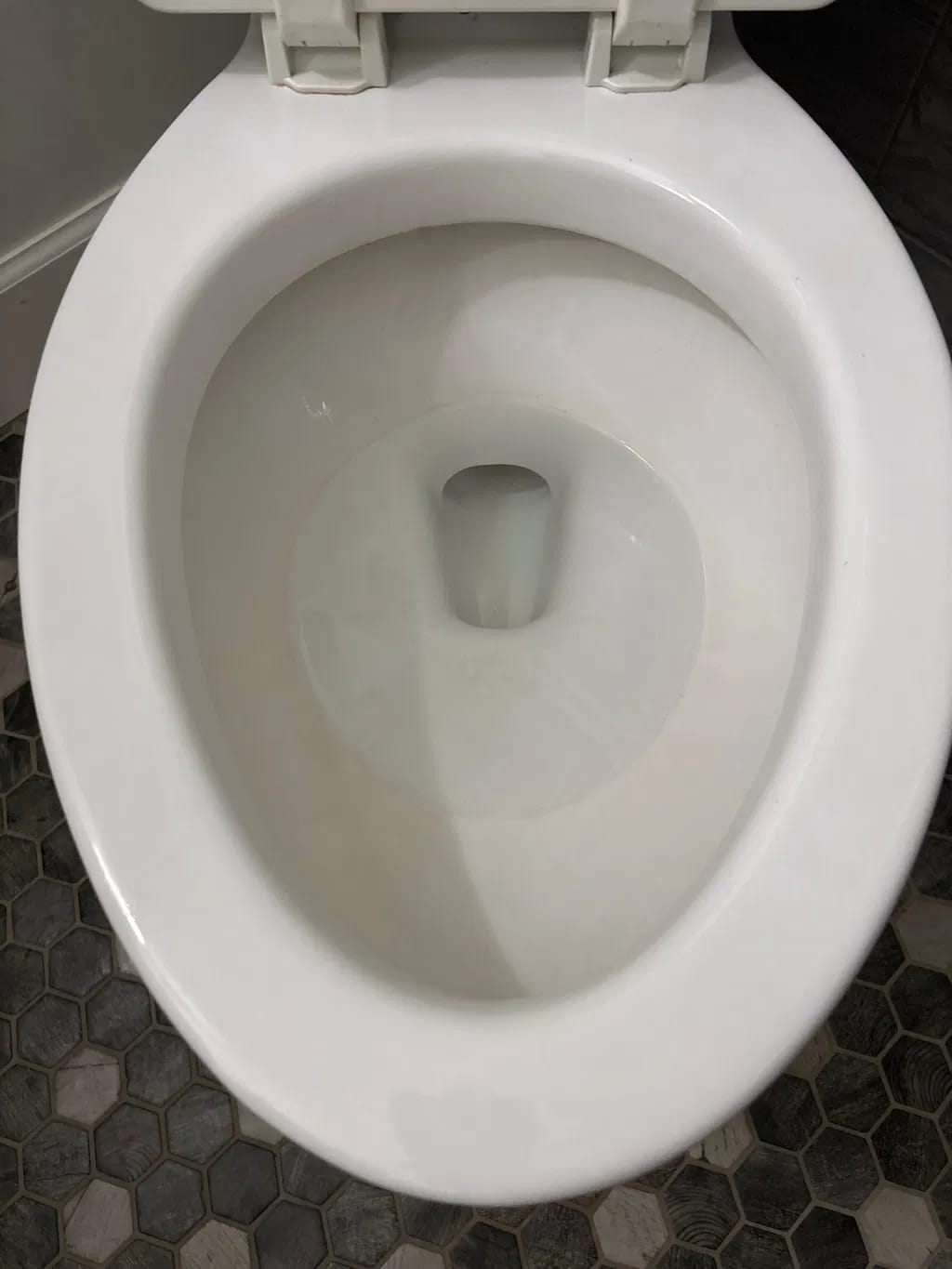 Customer photo review of Protector Antisarro para Inodoro