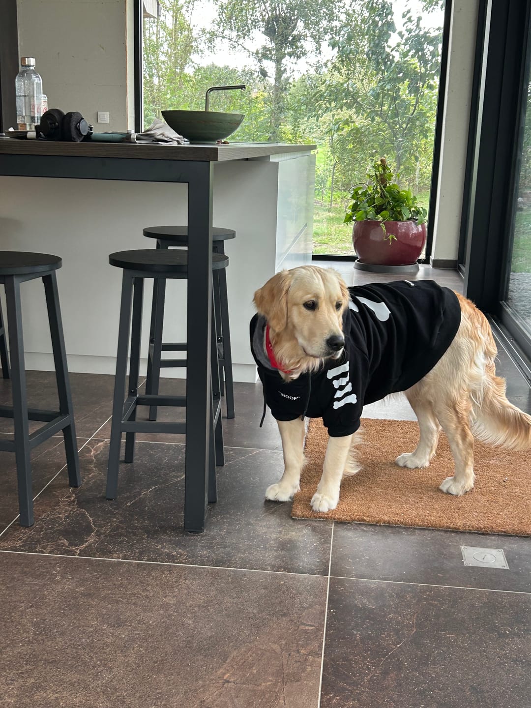 Customer photo review of "WOOF" Dog Hoodie - Black & Reflective
