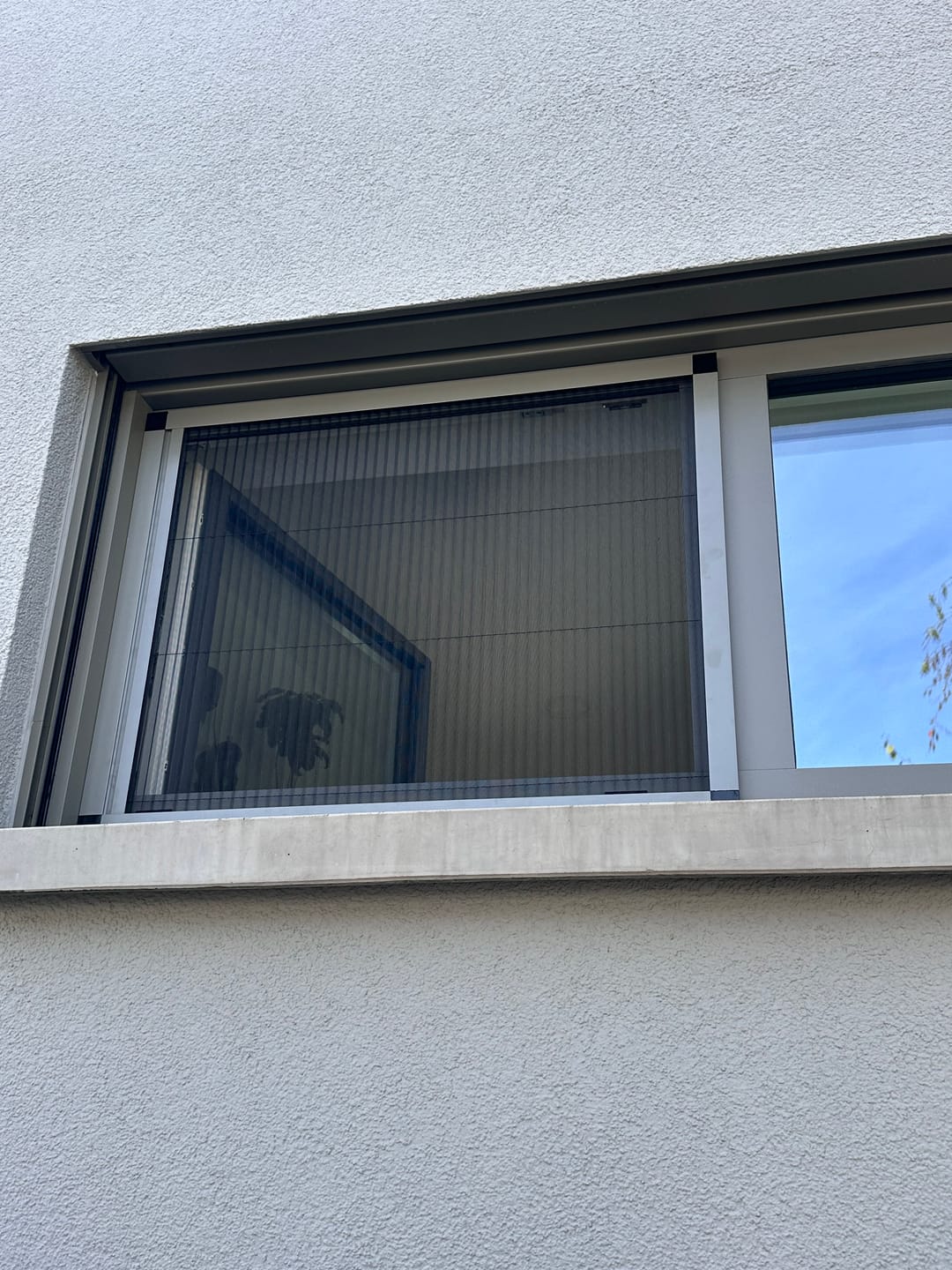 Customer photo review of Fliegengitter zum Schieben