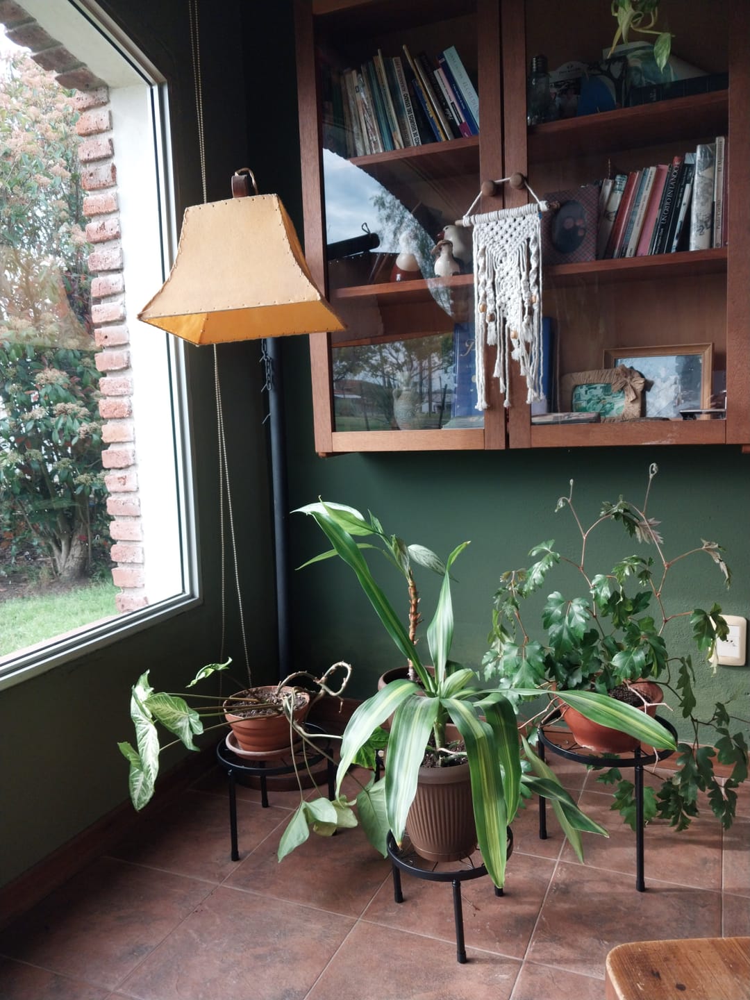 Customer photo review of Paquete de 5 Soportes de Metal para Plantas