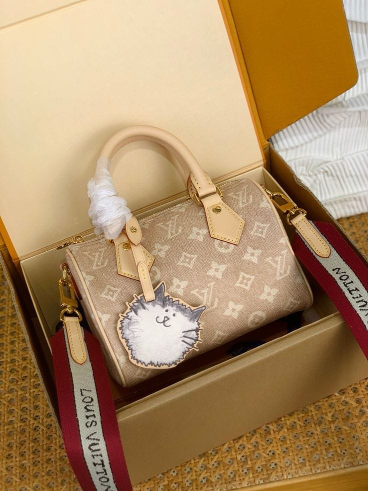 Customer photo review of Speedy Bandoulière 20 Bag