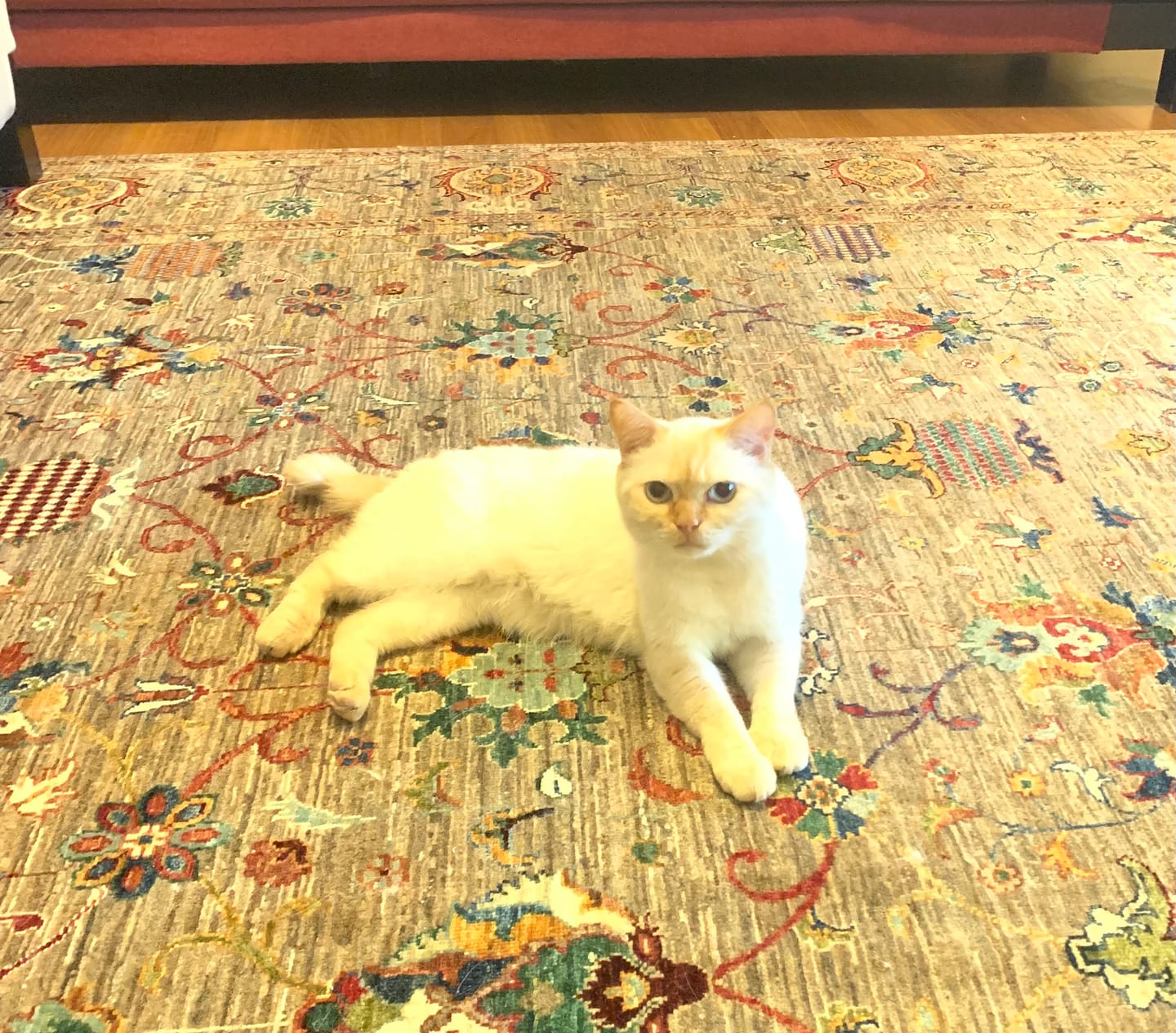 Customer photo review of Afgan Chobi Ziegler El Dokuma Halı Tek Parça Sultanabad Çiçek Desenli Vizon