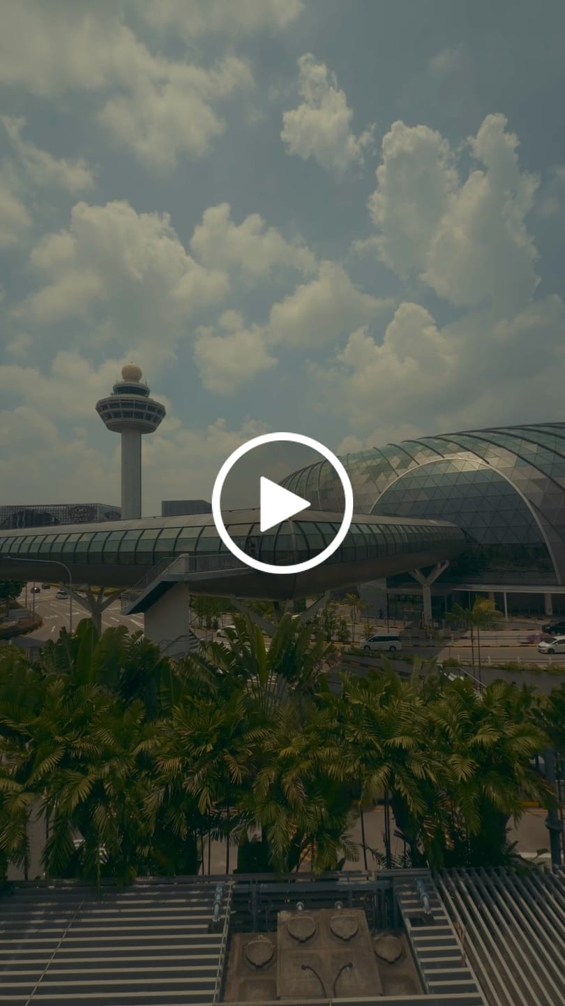 Customer video review of iPhone Apple Log LUTs