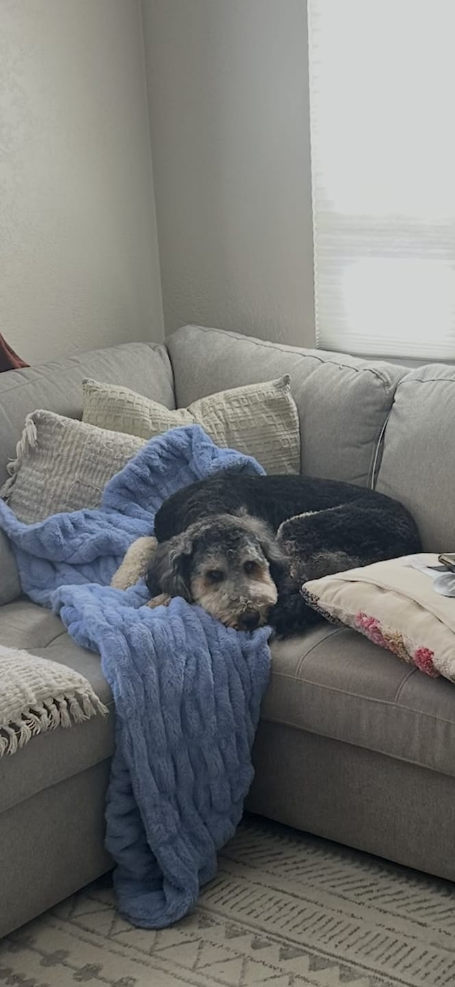 Customer photo review of Hugs Light Caribbean Blue Blanket