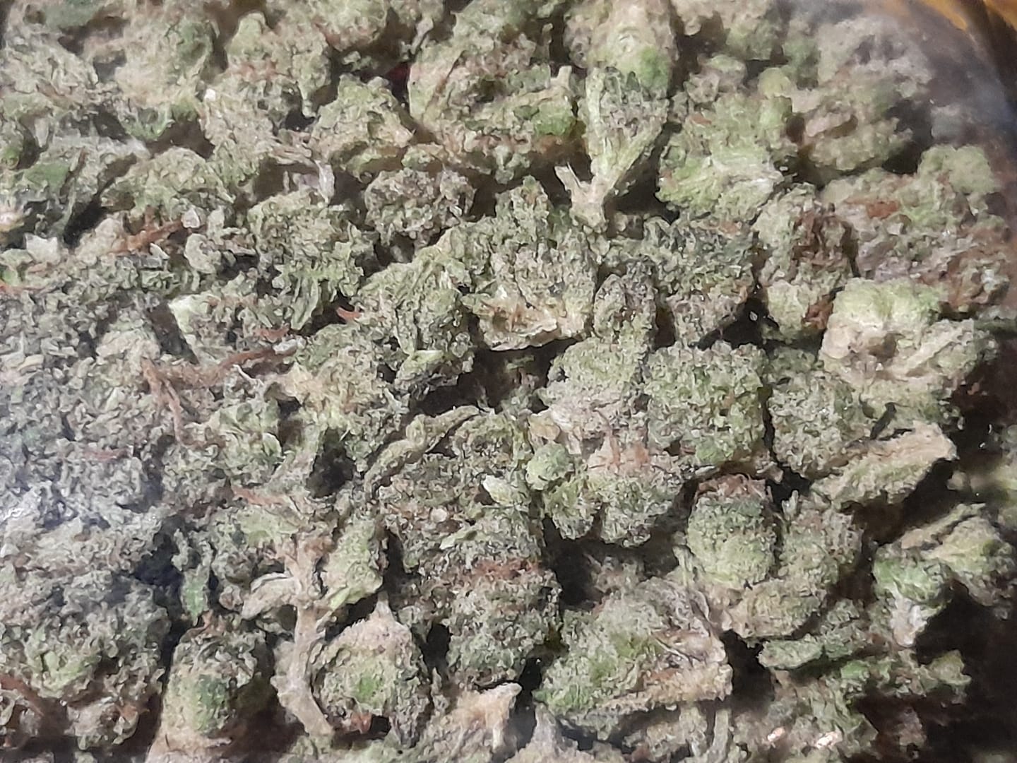 Customer photo review of Bulk Indoor THCA Smalls