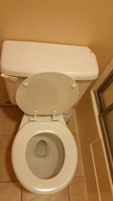 Customer photo review of Protector Antisarro para Inodoro