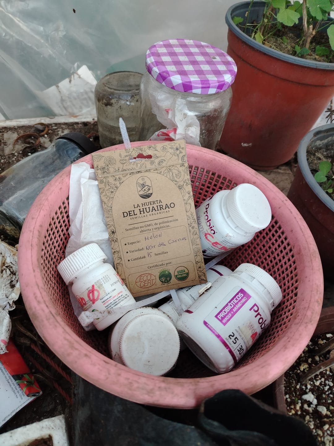 Customer photo review of Semillas Melon Noir Des Carnes