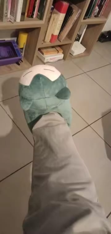 Customer photo review of Chaussons Ronflex