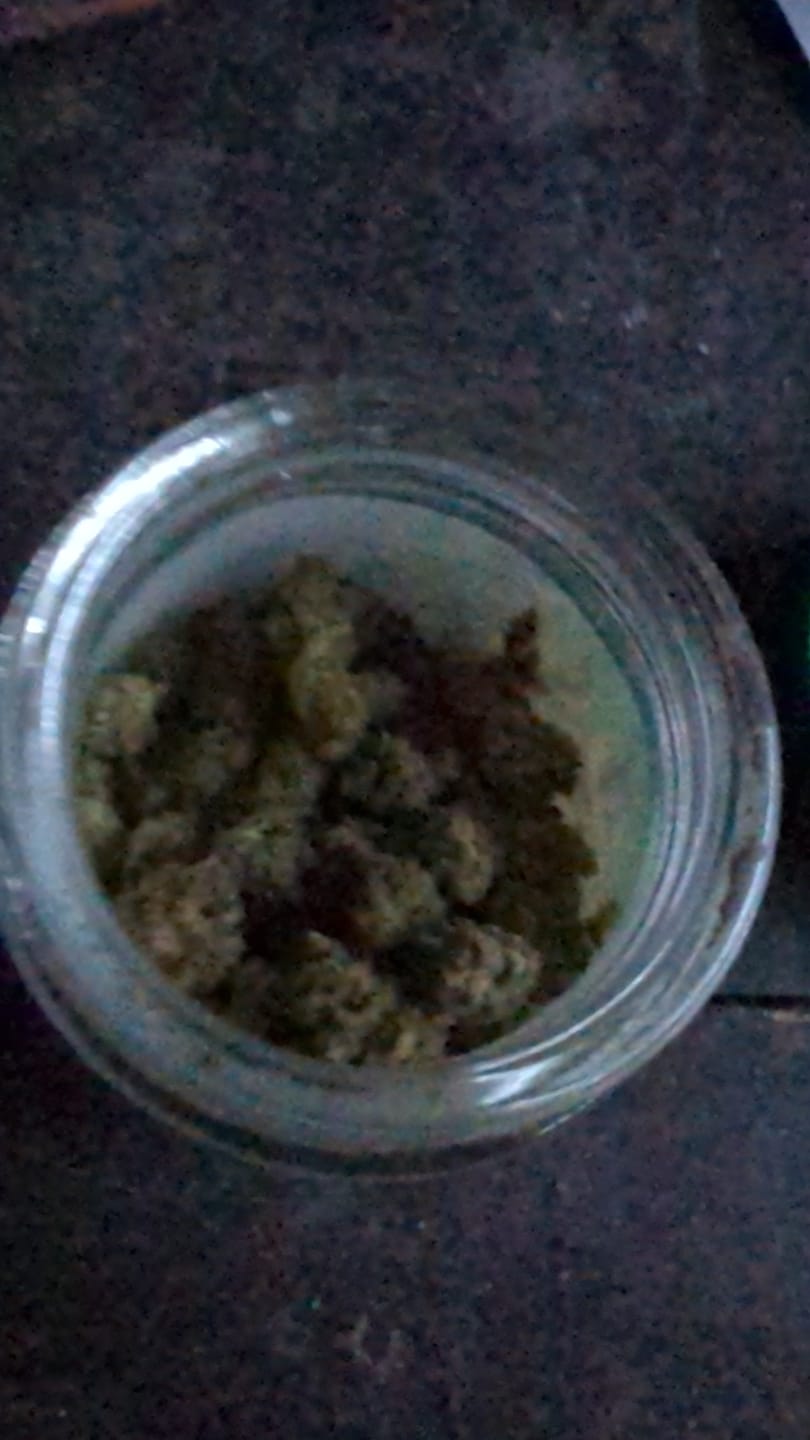Customer photo review of Candy Runtz - Minis - 28 Grams - Hybrid