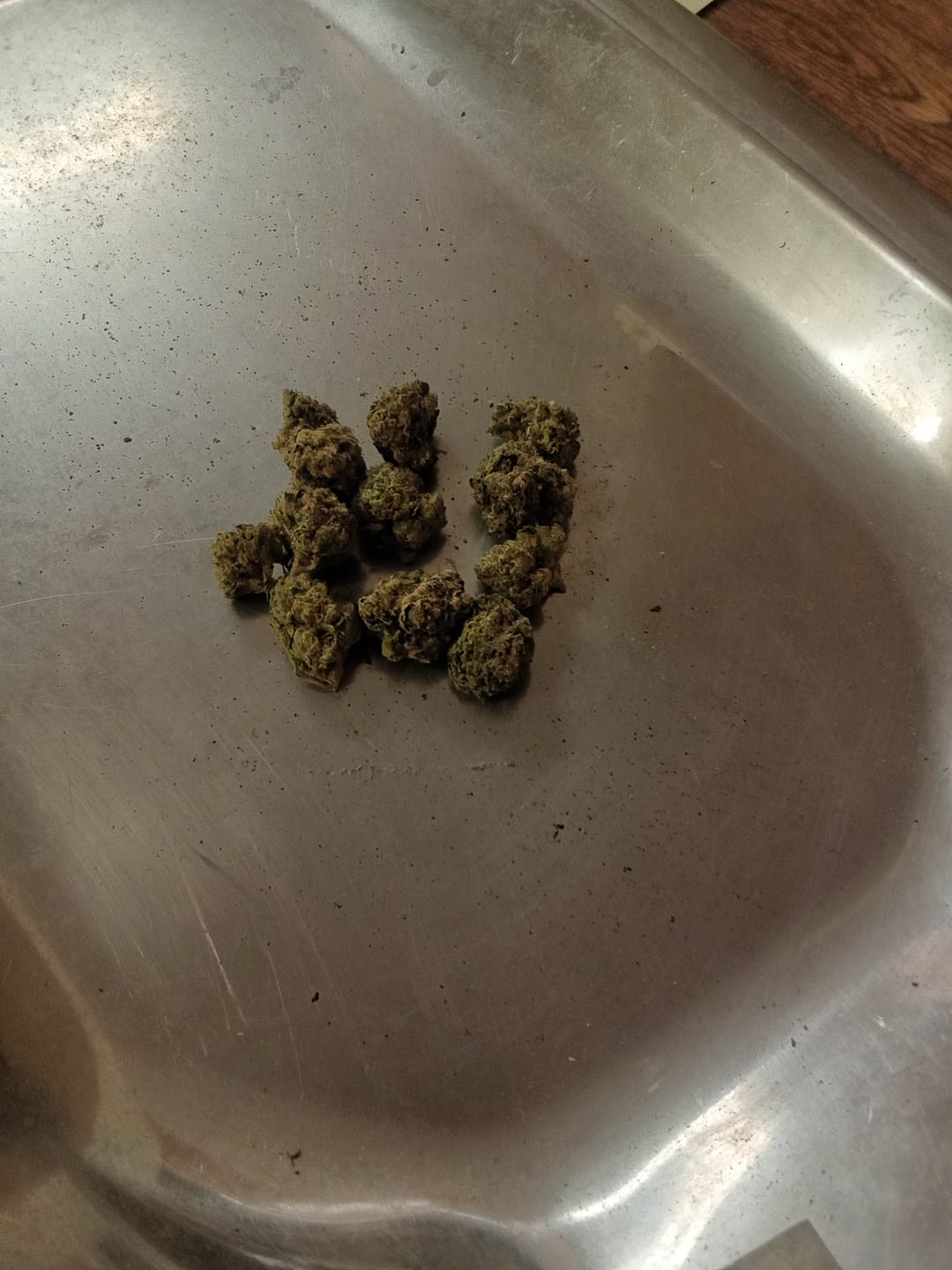 Customer photo review of Gotti OG THCA Don Flower