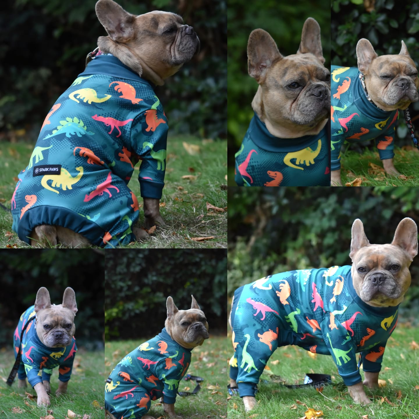 Customer photo review of Dog Pajama - Dinosaurs
