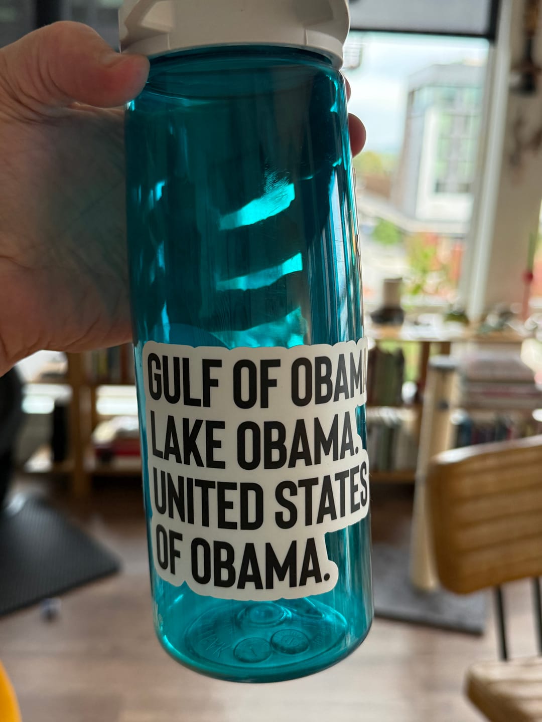 Customer photo review of Gulf of Obama. Lake Obama. United States of Obama Black/White Die Cut STICKER