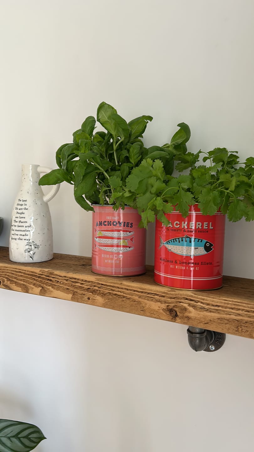 Customer photo review of Rustic Fish Storage Tins - Set of 2