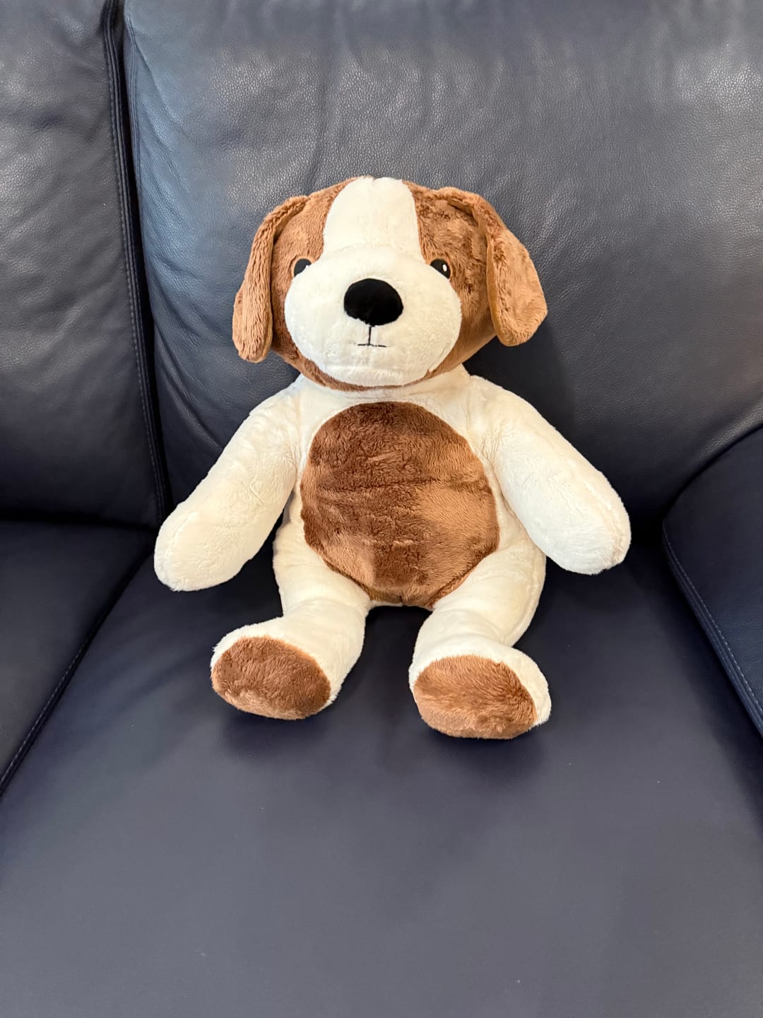 Customer photo review of Lotgenootje Hond 2kg