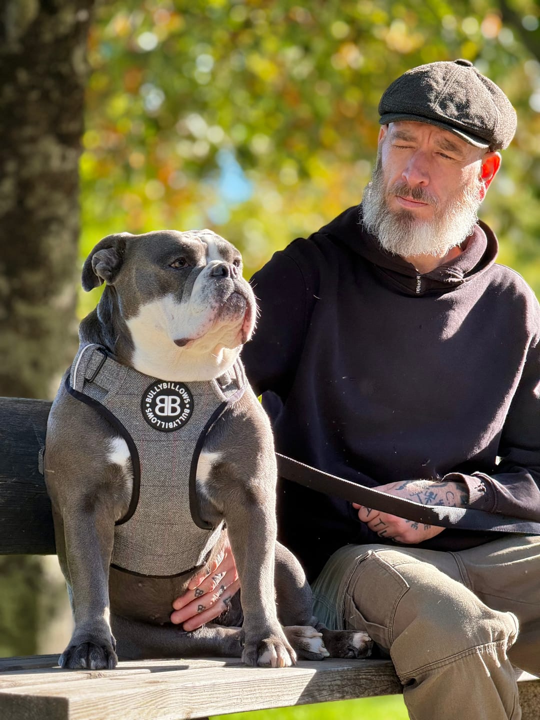 Customer photo review of Premium Comfort Herringbone Harness | Non Restrictive - Stone Grey