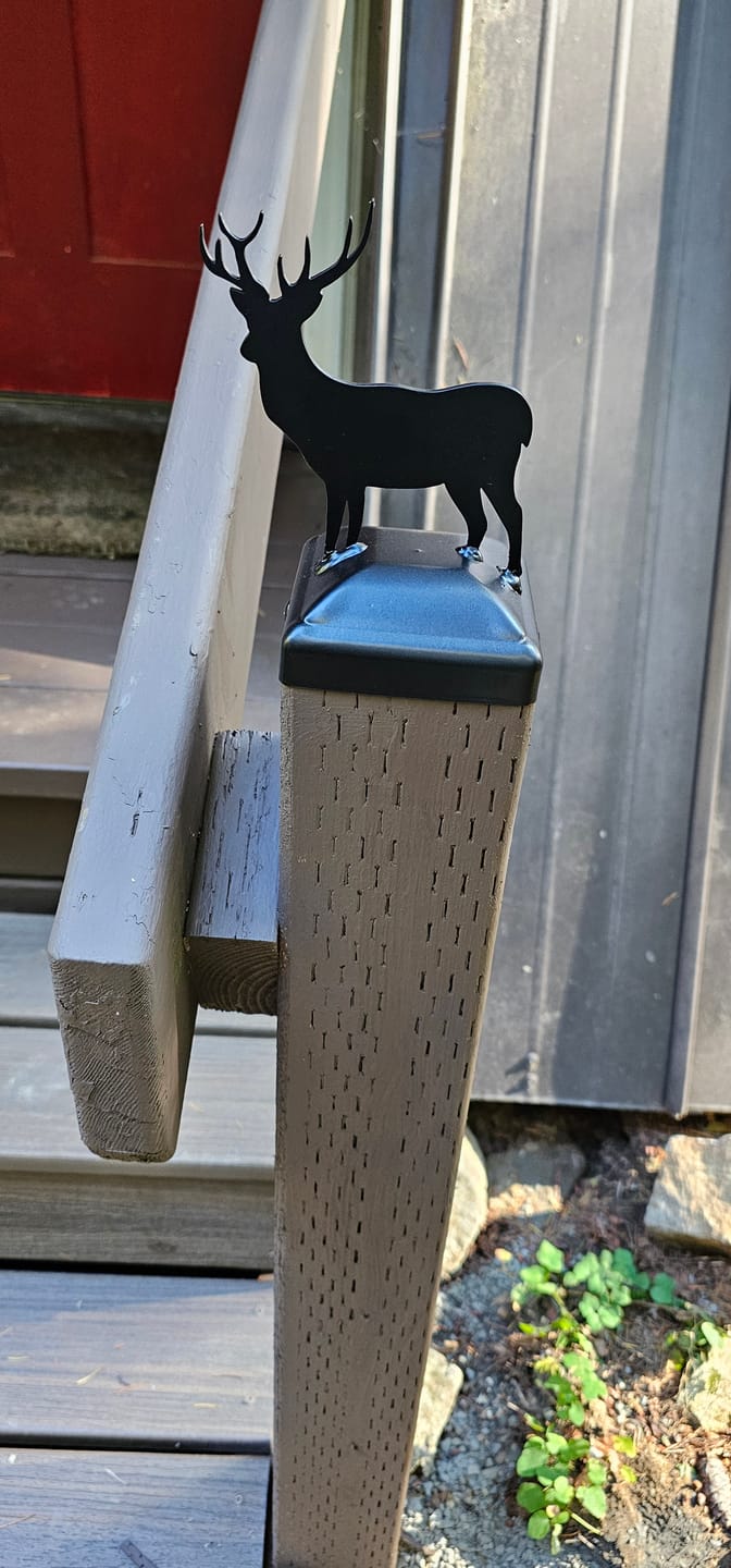 Customer photo review of Dog Fence Post Cap (Multiple Post Sizes Available)