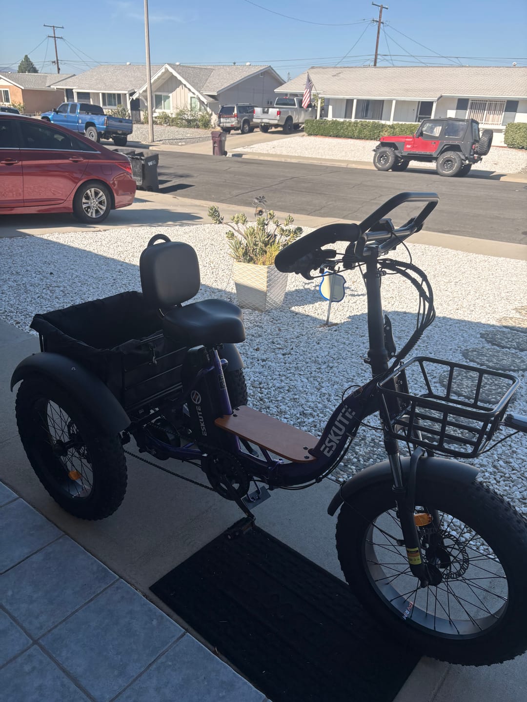 Customer photo review of Eskute® T300 Pro Folding Electric Trike with One-Button Reverse